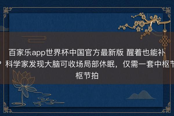 百家乐app世界杯中国官方最新版 醒着也能补觉？科学家发现大脑可收场局部休眠，仅需一套中枢节拍